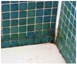 Clean Tile Grout for Bathrooms