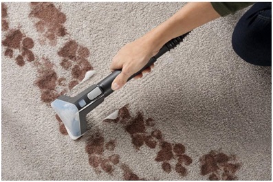 Hoover Carpet Cleaner