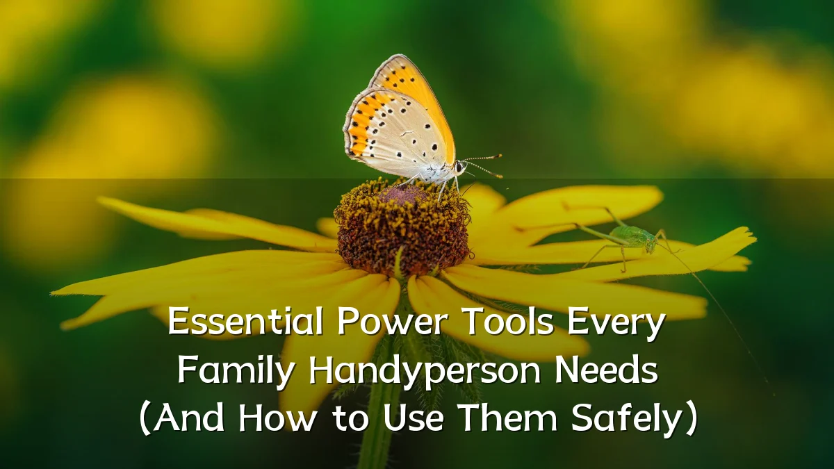 Essential Power Tools Every Family Handyperson Needs (And How to Use Them Safely)
