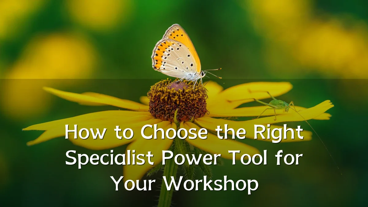 How to Choose the Right Specialist Power Tool for Your Workshop