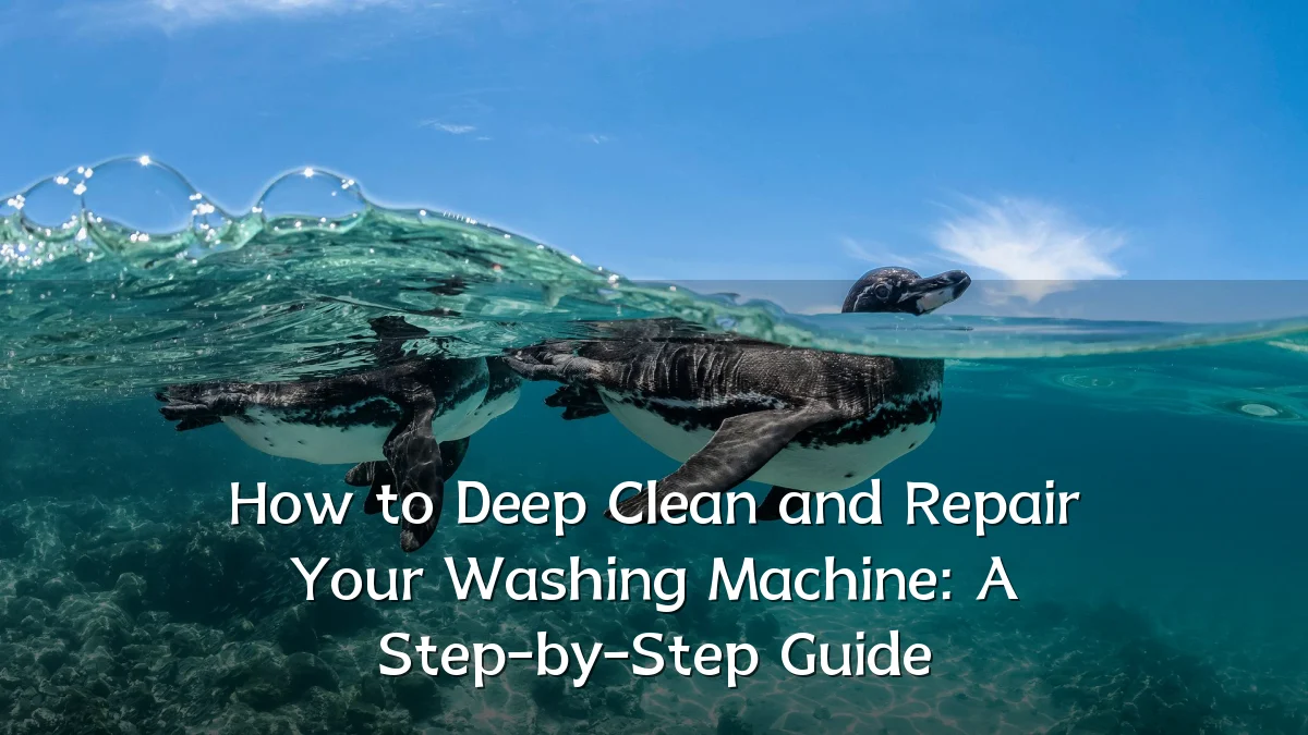 How to Deep Clean and Repair Your Washing Machine: A Step-by-Step Guide