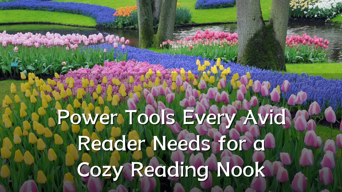 Power Tools Every Avid Reader Needs for a Cozy Reading Nook