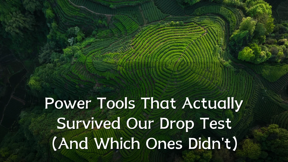 Power Tools That Actually Survived Our Drop Test (And Which Ones Didn't)