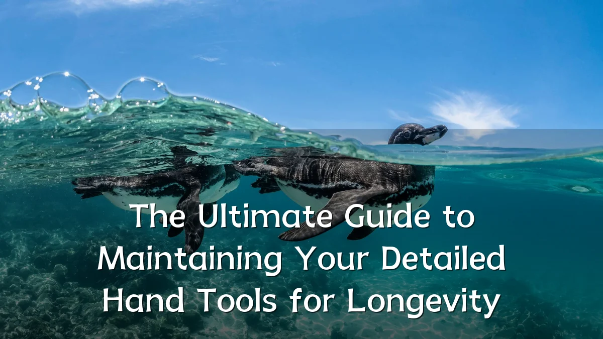 The Ultimate Guide to Maintaining Your Detailed Hand Tools for Longevity