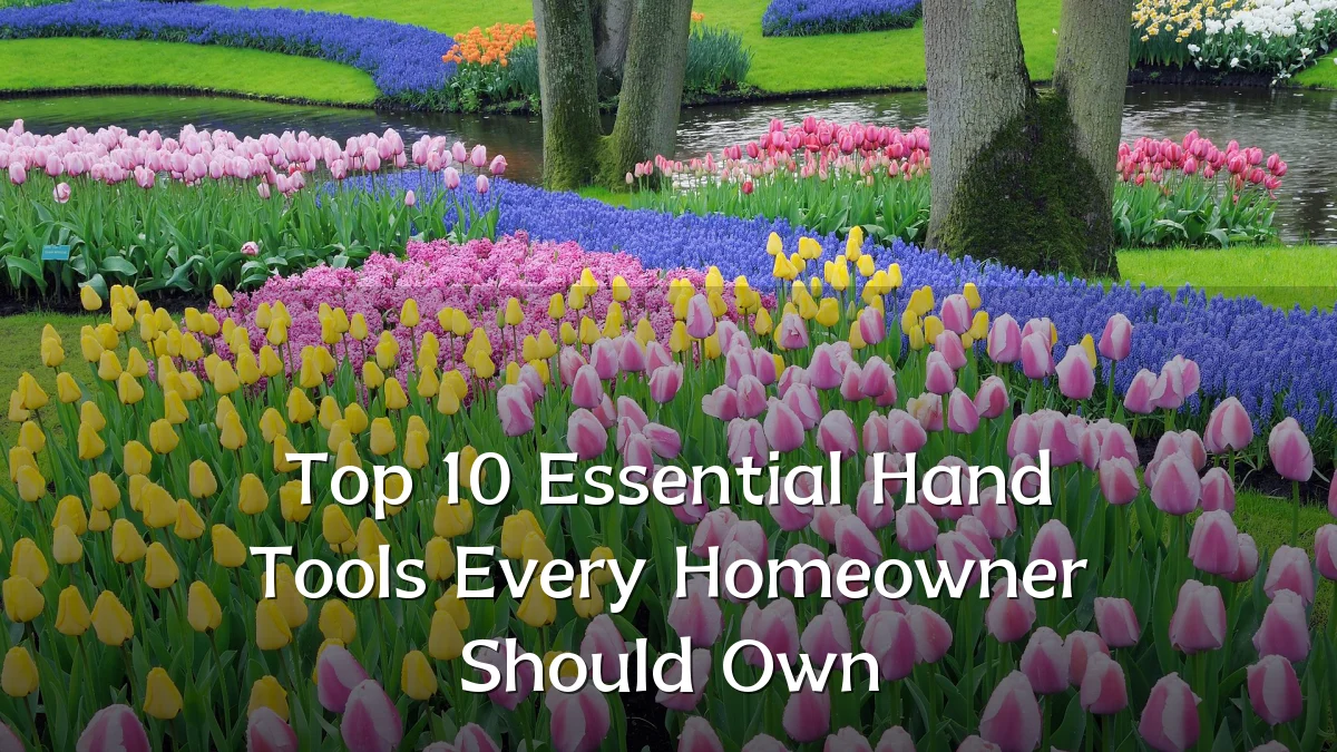 Top 10 Essential Hand Tools Every Homeowner Should Own
