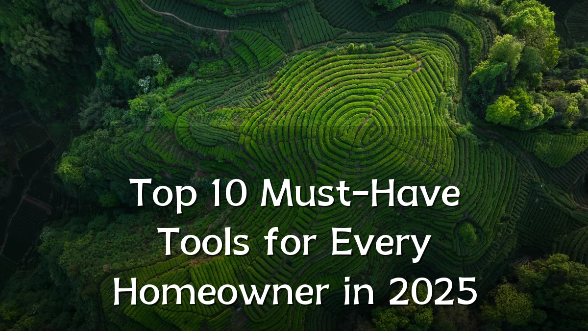 Top 10 Must-Have Tools for Every Homeowner in 2025