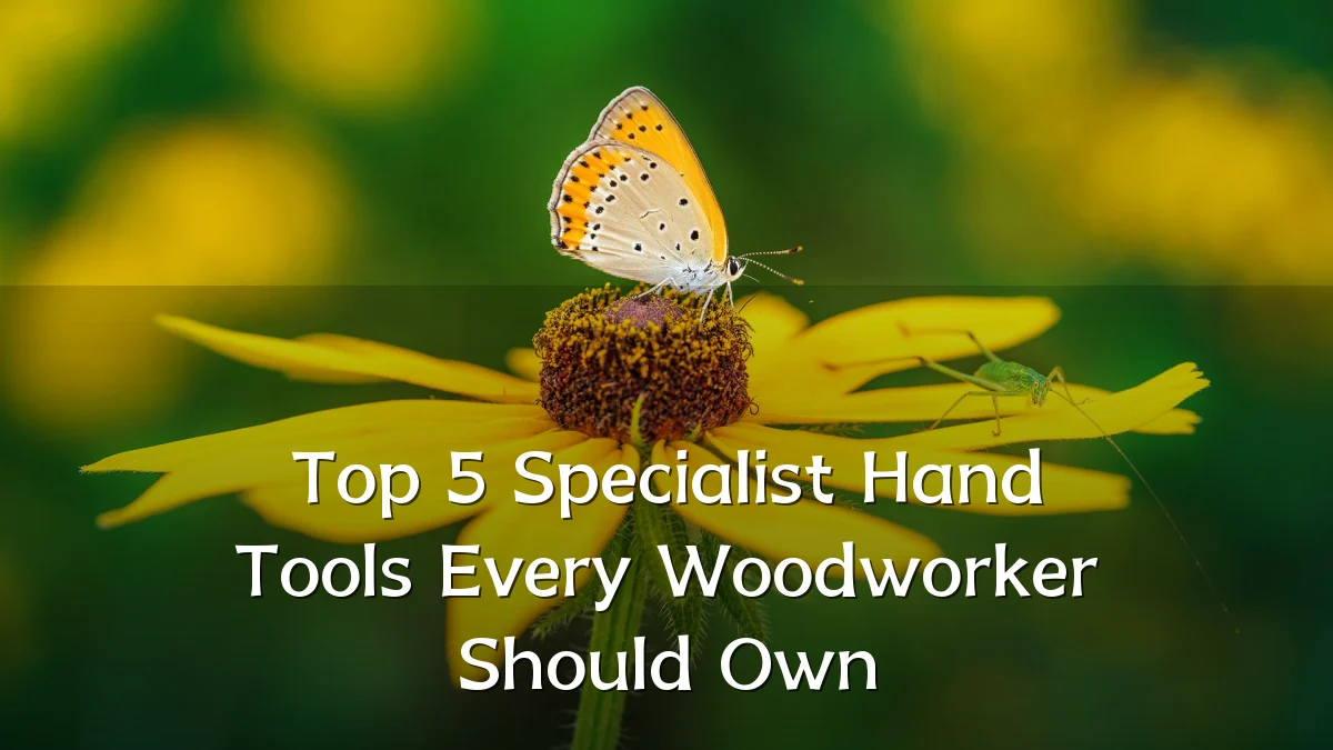 Top 5 Specialist Hand Tools Every Woodworker Should Own