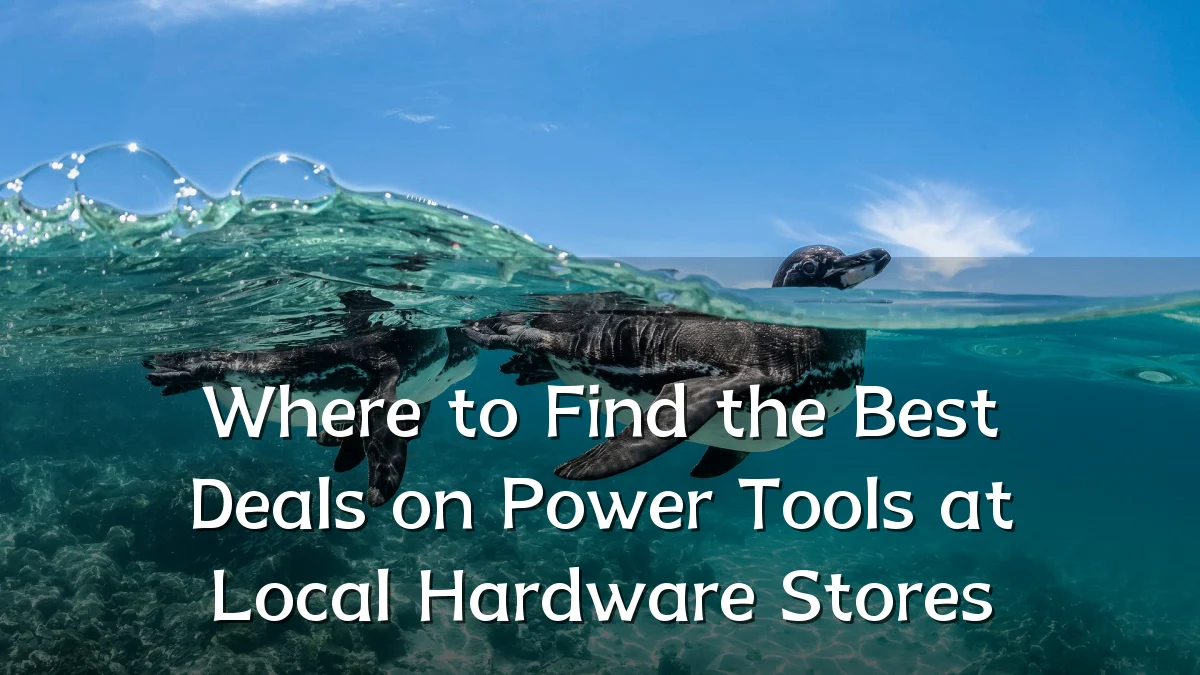 Where to Find the Best Deals on Power Tools at Local Hardware Stores