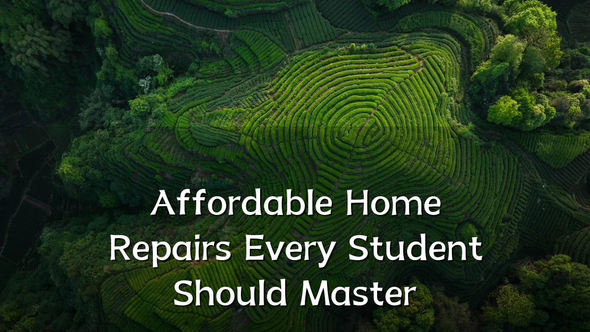 Affordable Home Repairs Every Student Should Master