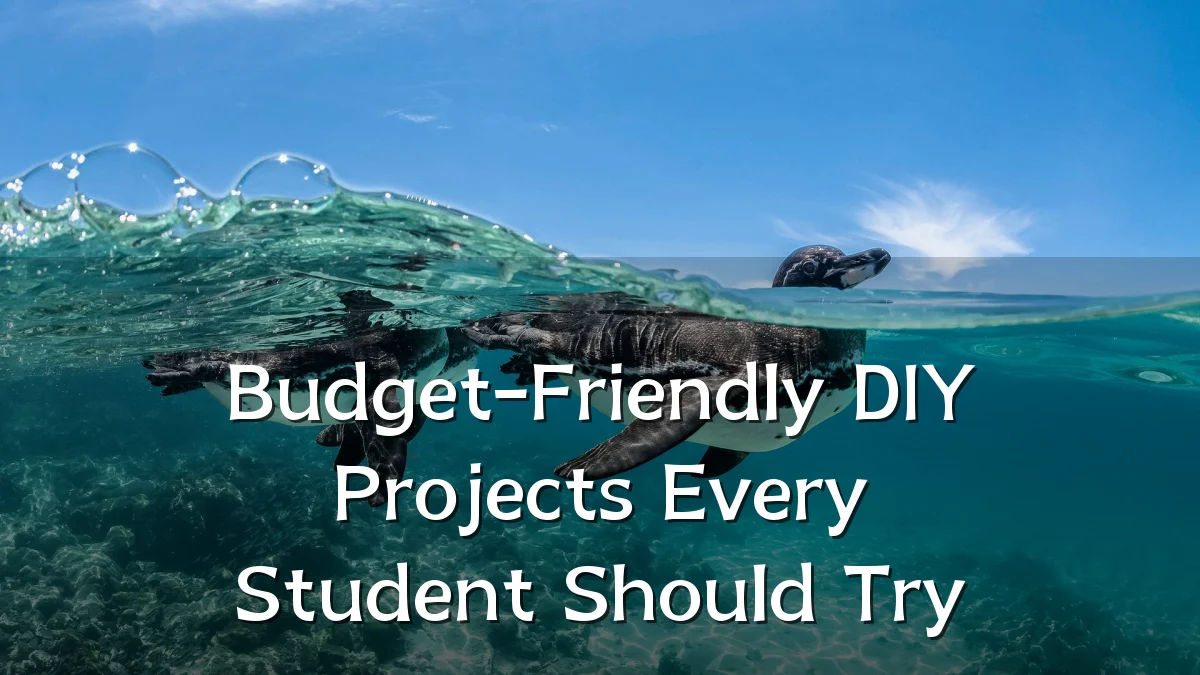 Budget-Friendly DIY Projects Every Student Should Try