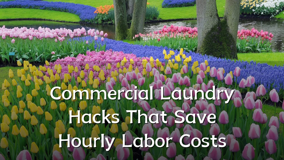 Commercial Laundry Hacks That Save Hourly Labor Costs