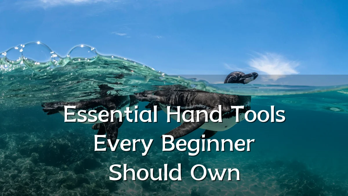 Essential Hand Tools Every Beginner Should Own