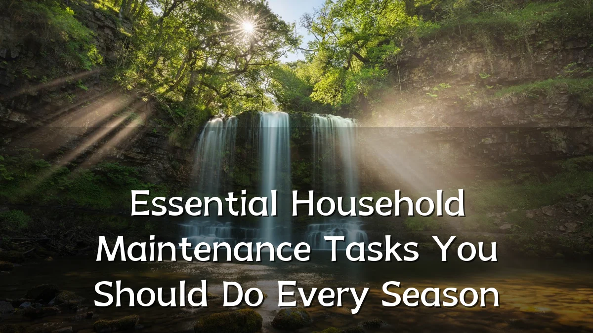 Essential Household Maintenance Tasks You Should Do Every Season