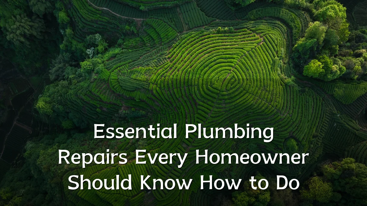 Essential Plumbing Repairs Every Homeowner Should Know How to Do
