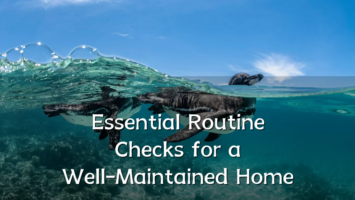 Essential Routine Checks for a Well-Maintained Home