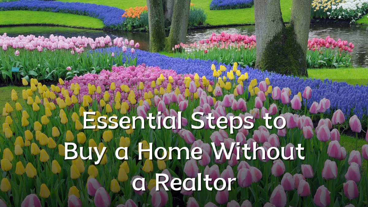 Essential Steps to Buy a Home Without a Realtor