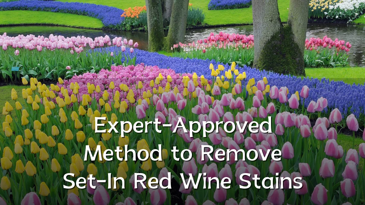 Expert-Approved Method to Remove Set-In Red Wine Stains