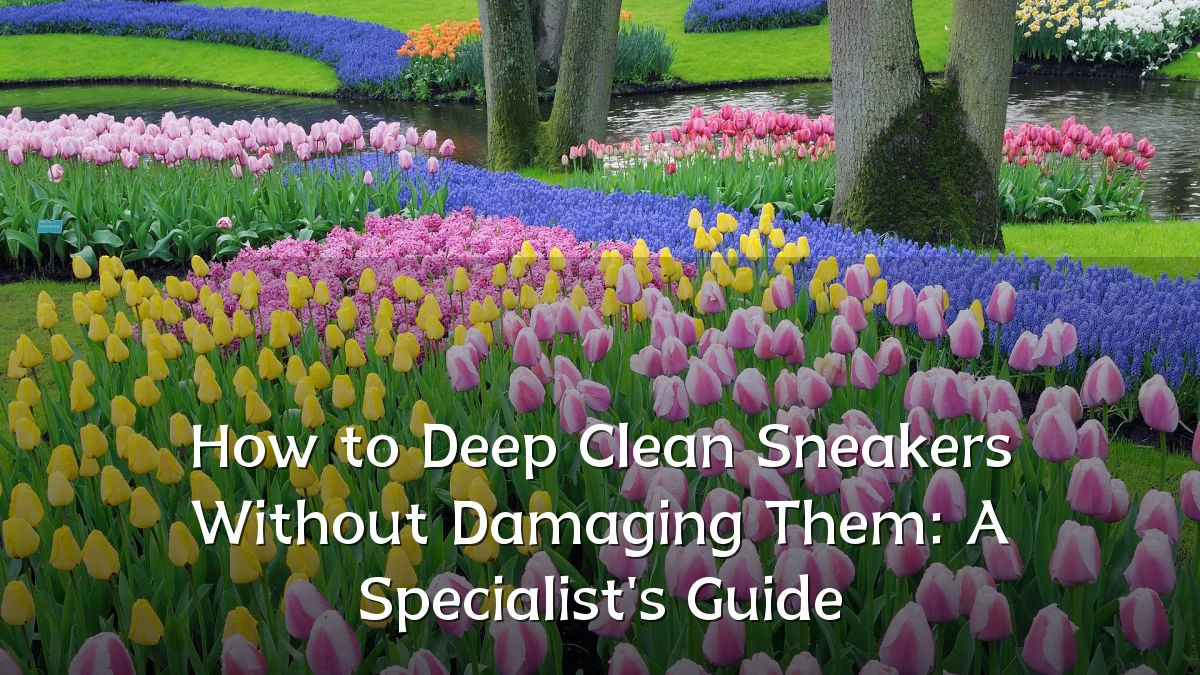 How to Deep Clean Sneakers Without Damaging Them: A Specialist's Guide