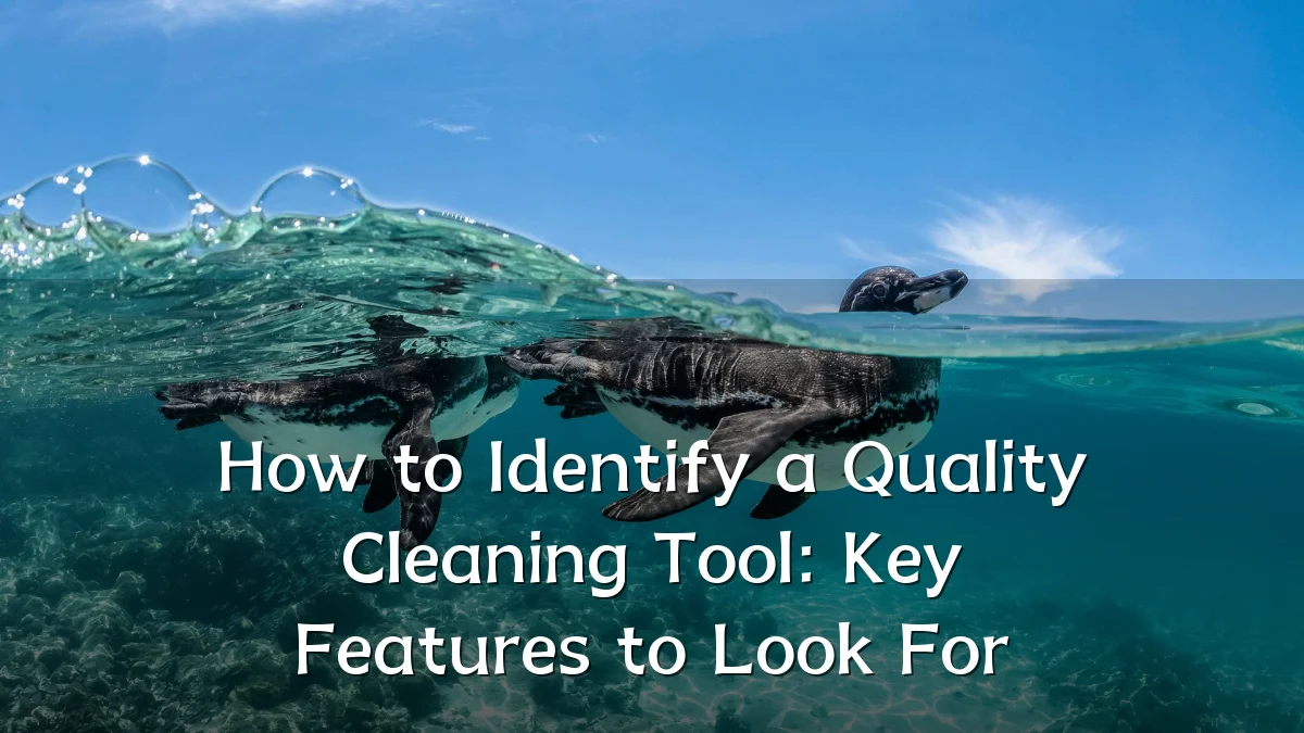 How to Identify a Quality Cleaning Tool: Key Features to Look For