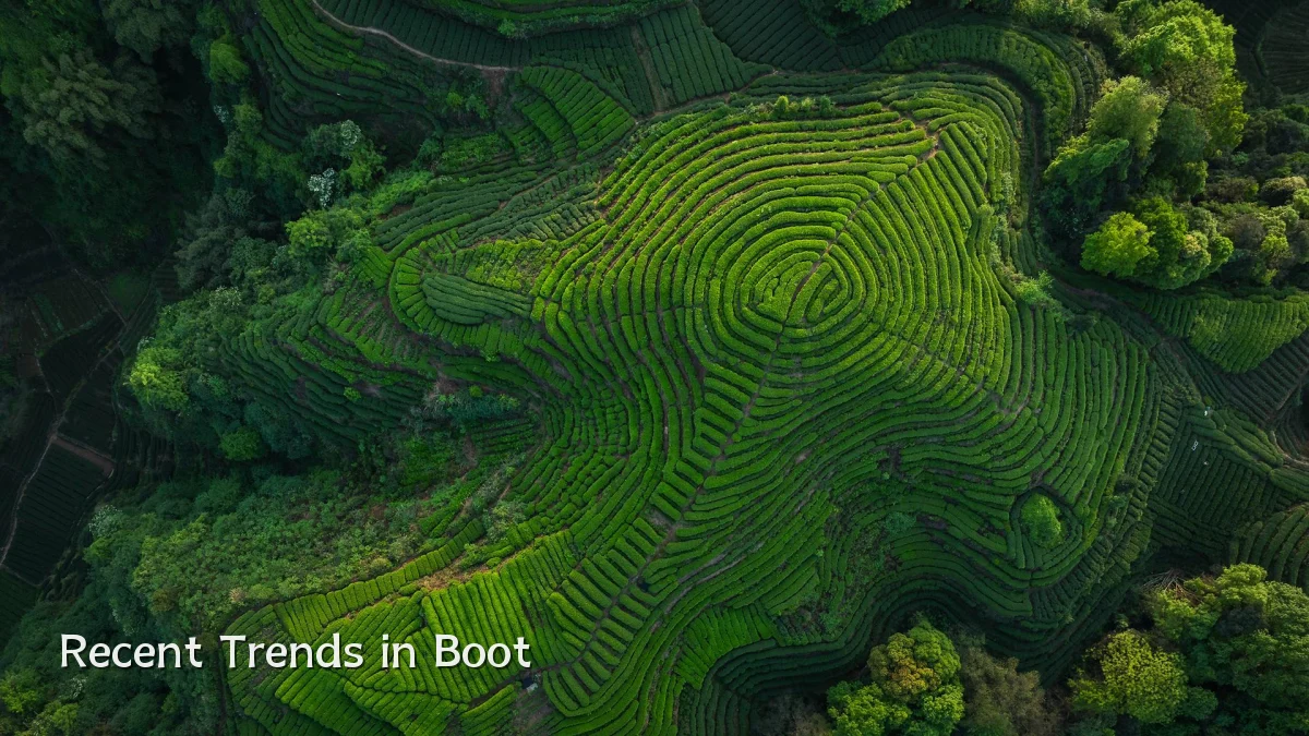 Recent Trends in Boot
