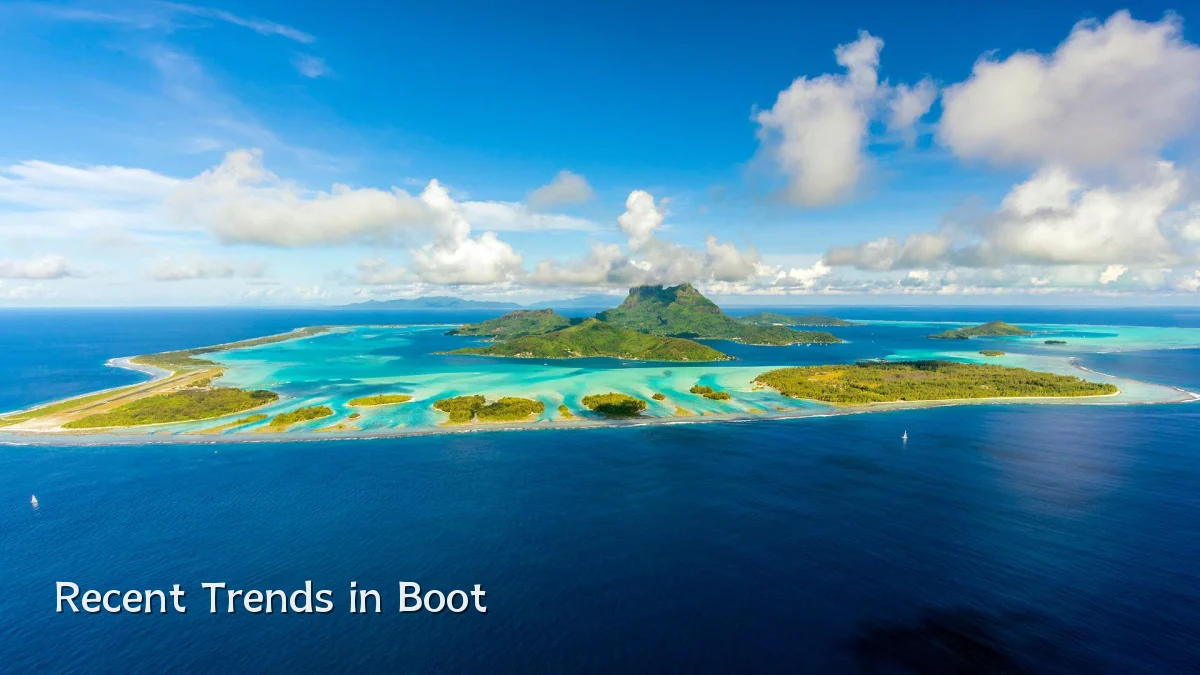 Recent Trends in Boot