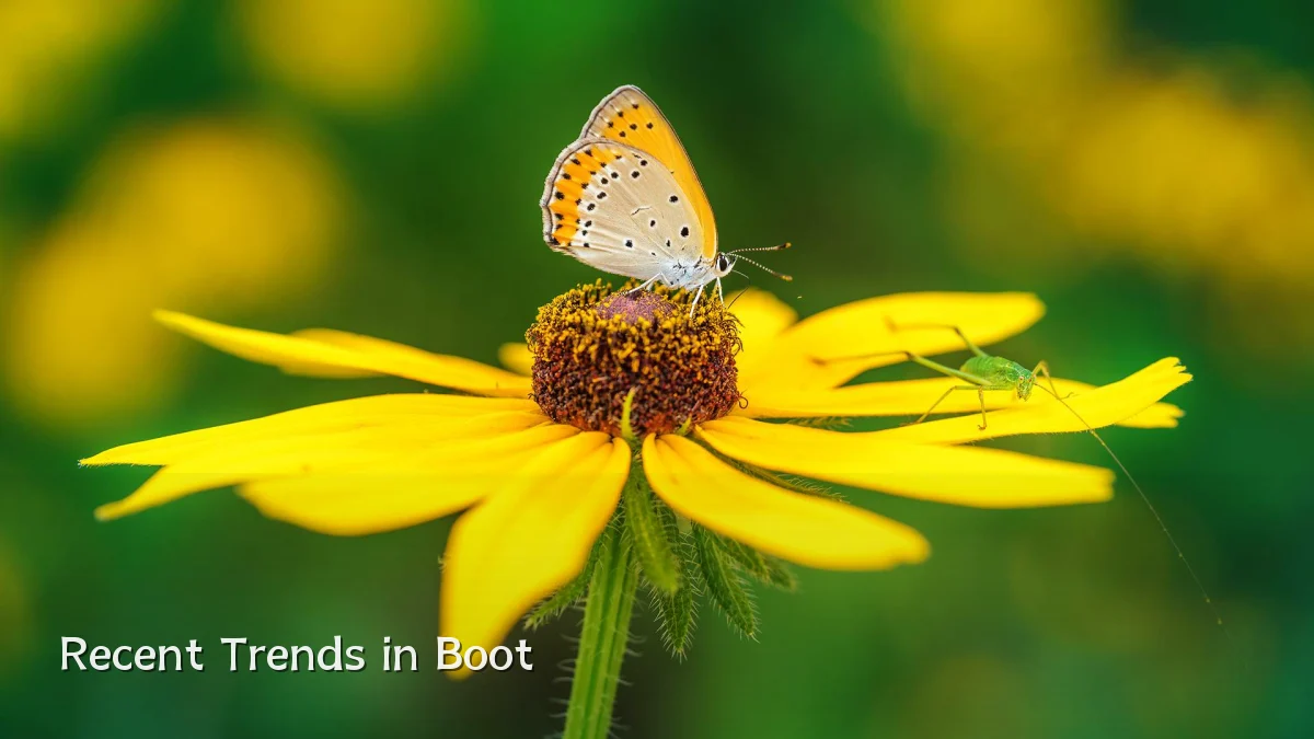 Recent Trends in Boot