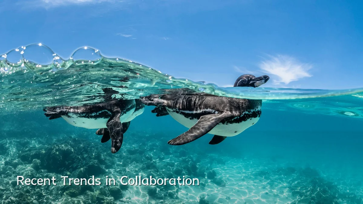 Recent Trends in Collaboration