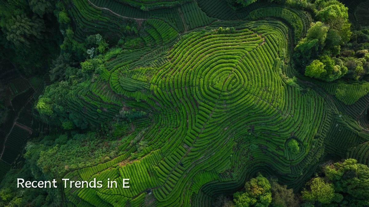 Recent Trends in E