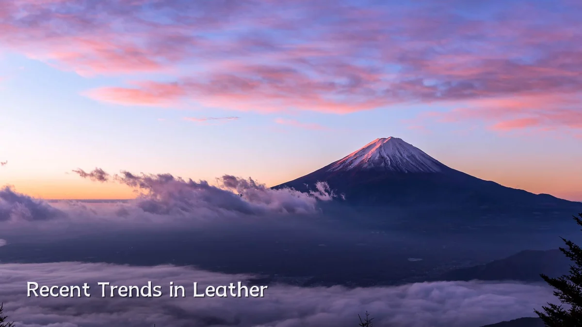 Recent Trends in Leather
