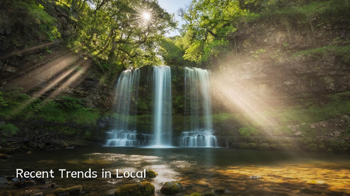 Recent Trends in Local