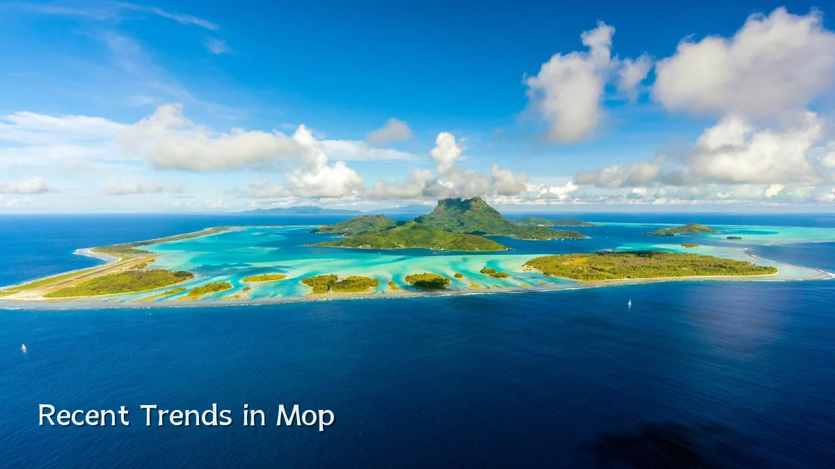 Recent Trends in Mop