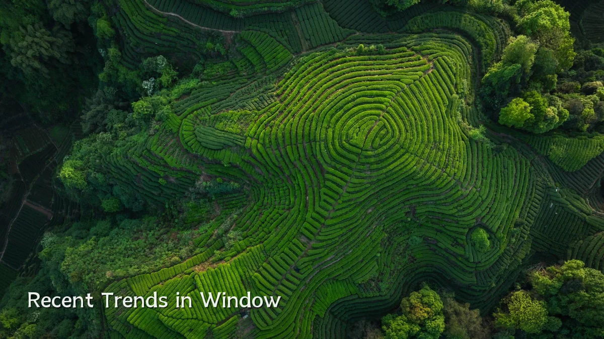 Recent Trends in Window