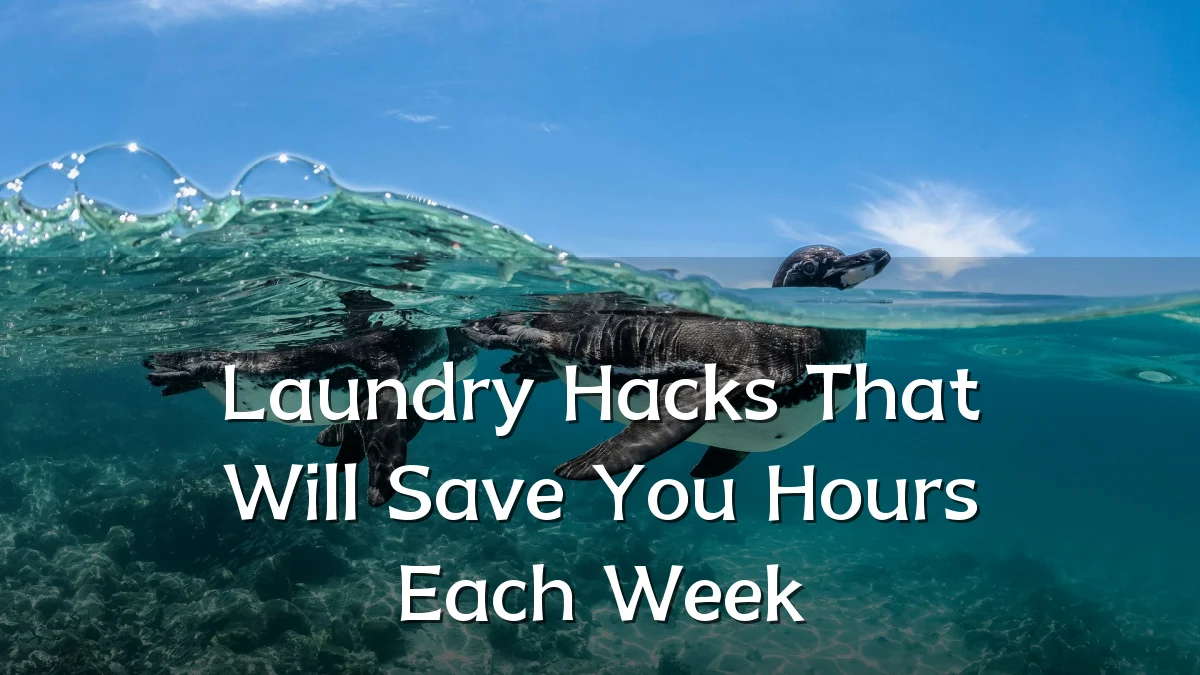 Laundry Hacks That Will Save You Hours Each Week