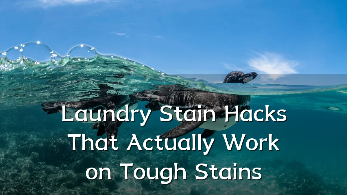 Laundry Stain Hacks That Actually Work on Tough Stains