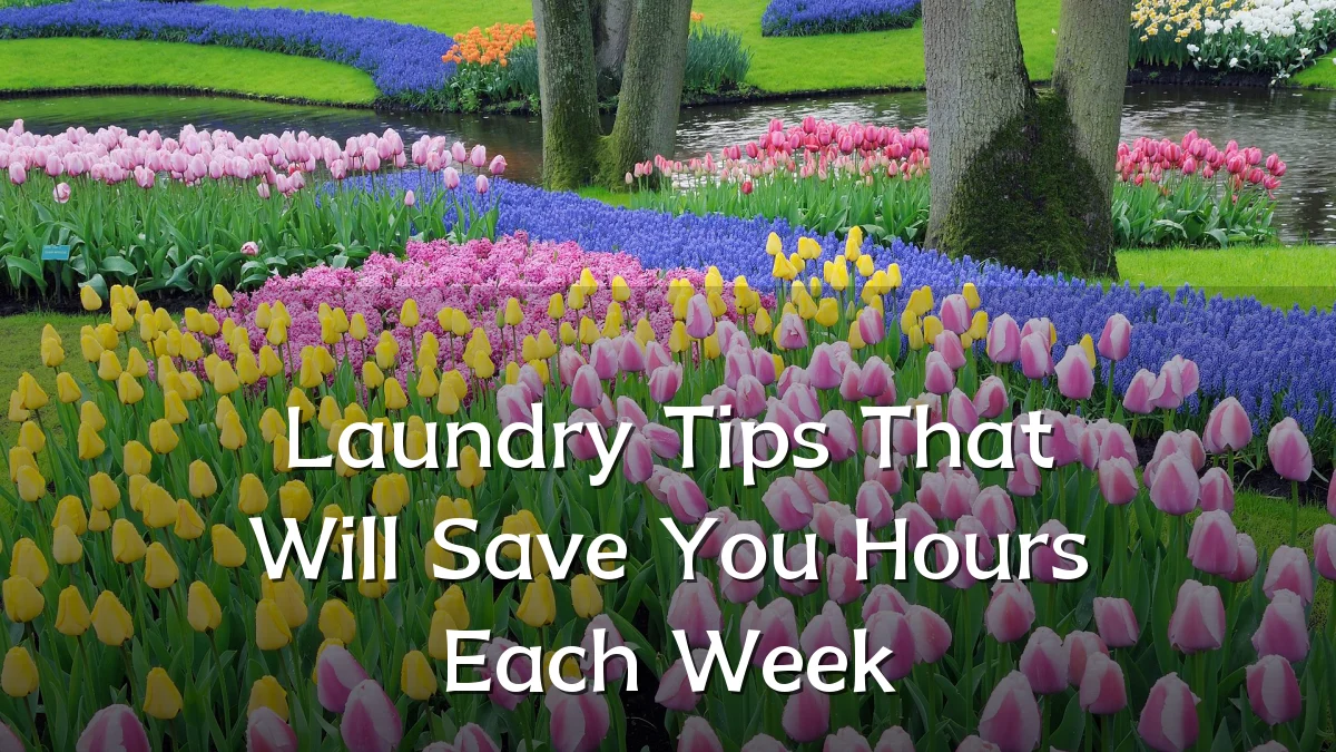 Laundry Tips That Will Save You Hours Each Week