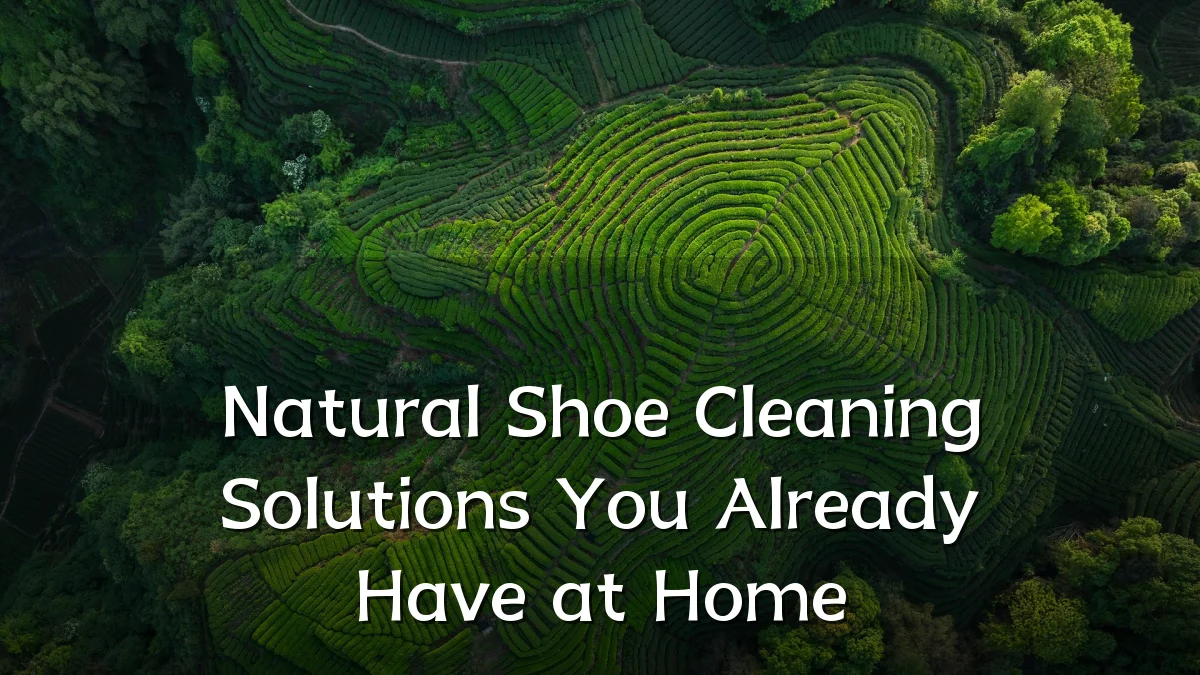 Natural Shoe Cleaning Solutions You Already Have at Home