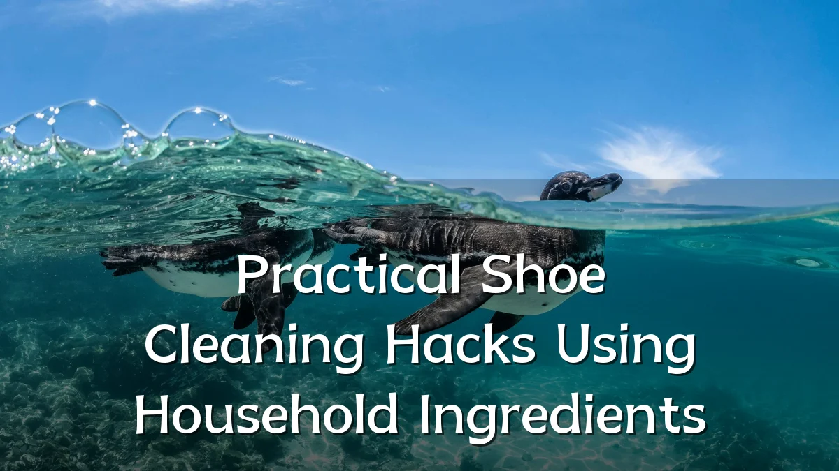 Practical Shoe Cleaning Hacks Using Household Ingredients