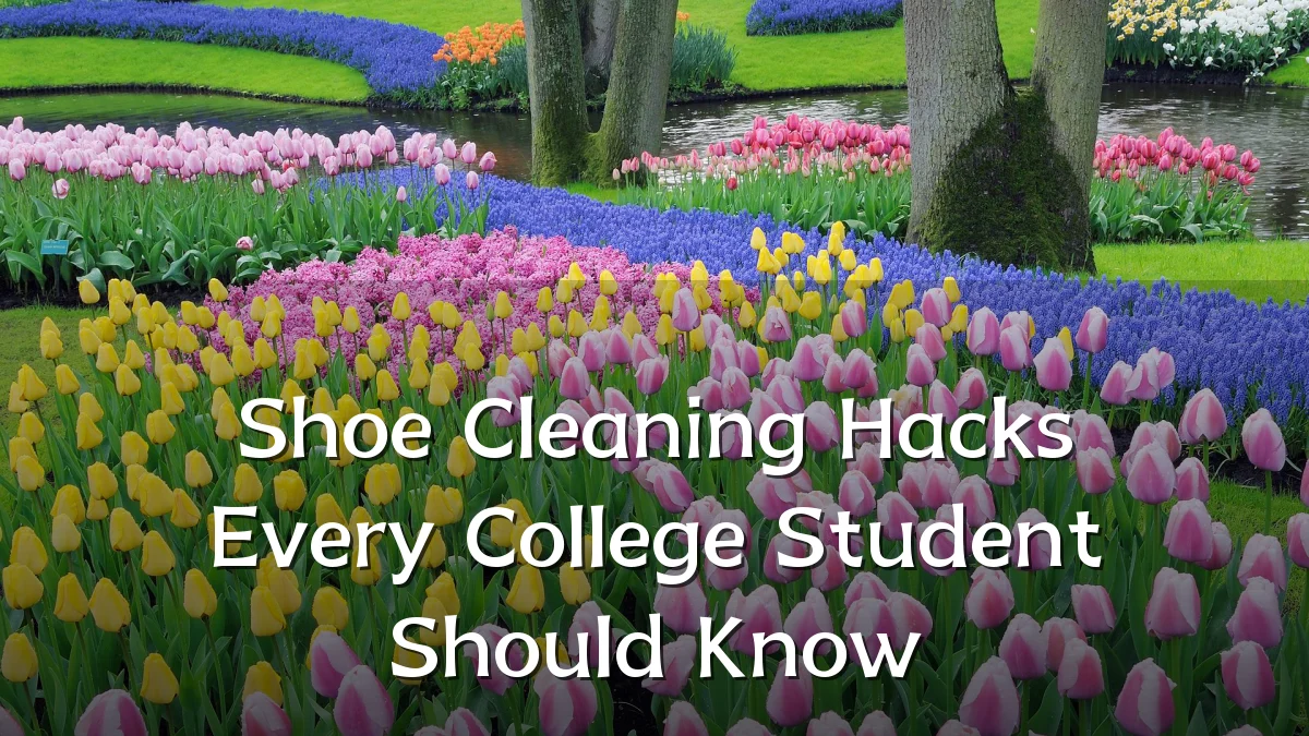 Shoe Cleaning Hacks Every College Student Should Know