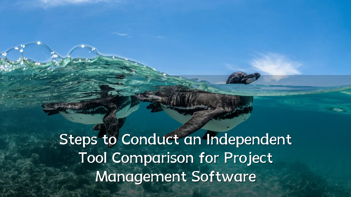 Steps to Conduct an Independent Tool Comparison for Project Management Software
