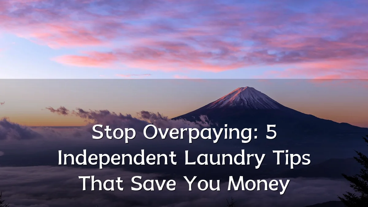 Stop Overpaying: 5 Independent Laundry Tips That Save You Money