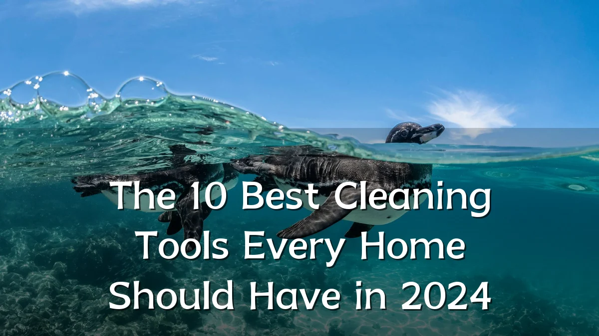 The 10 Best Cleaning Tools Every Home Should Have in 2024