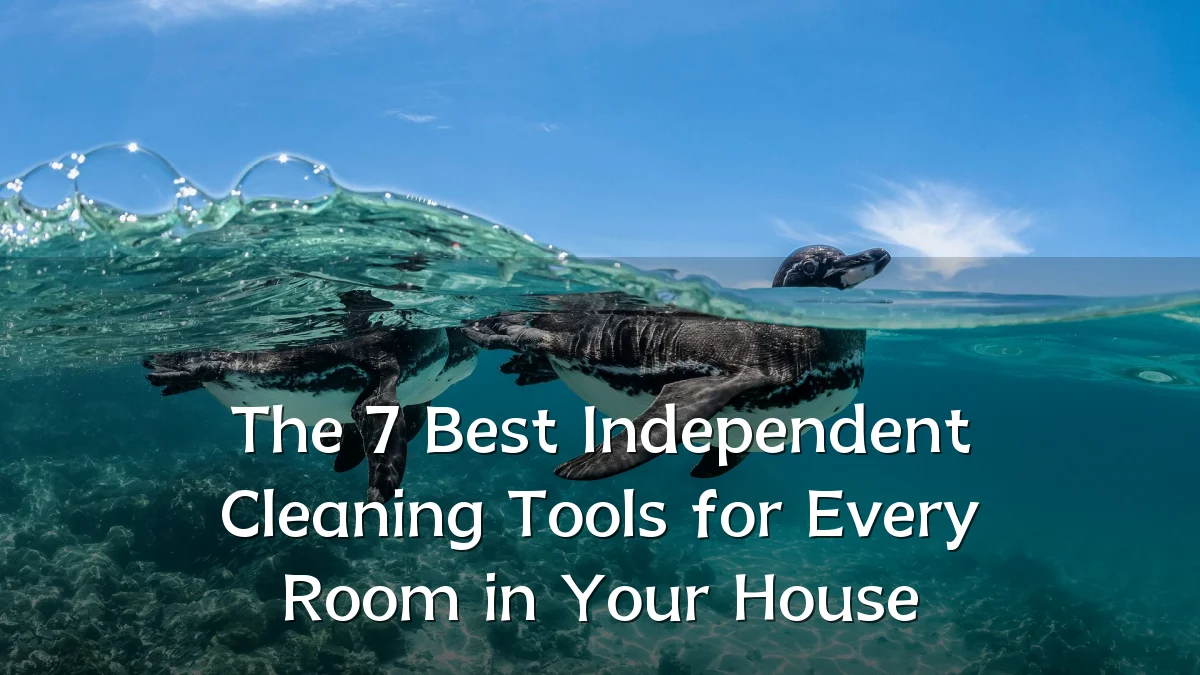 The 7 Best Independent Cleaning Tools for Every Room in Your House