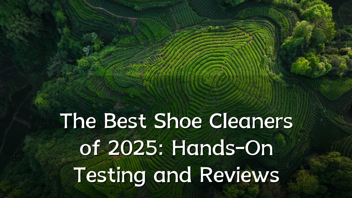 The Best Shoe Cleaners of 2025: Hands-On Testing and Reviews