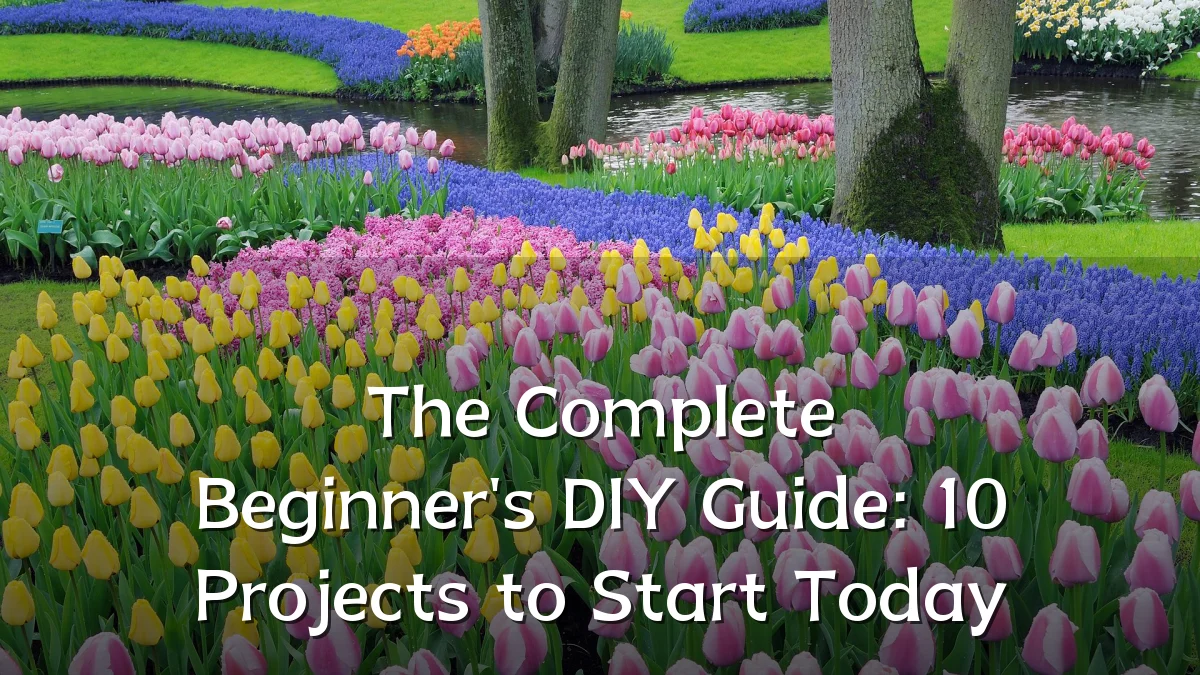 The Complete Beginner's DIY Guide: 10 Projects to Start Today