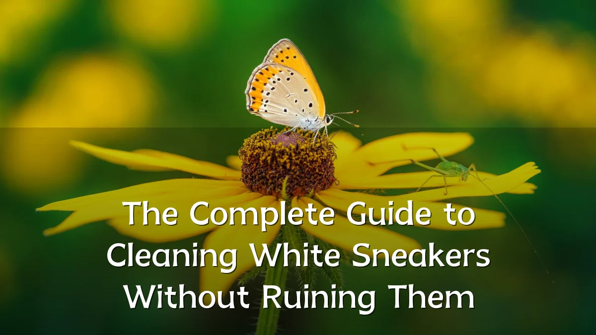 The Complete Guide to Cleaning White Sneakers Without Ruining Them