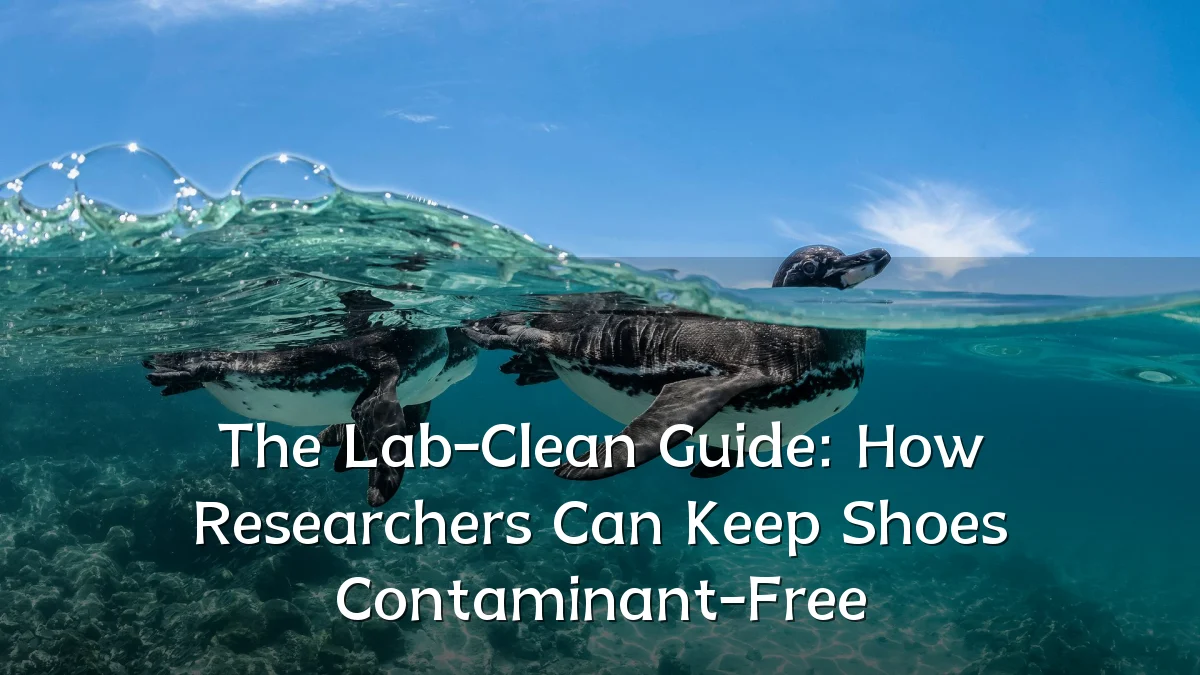 The Lab-Clean Guide: How Researchers Can Keep Shoes Contaminant-Free