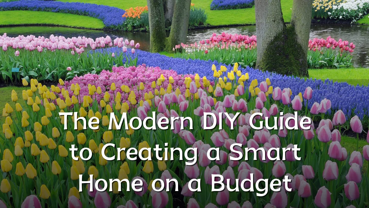 The Modern DIY Guide to Creating a Smart Home on a Budget
