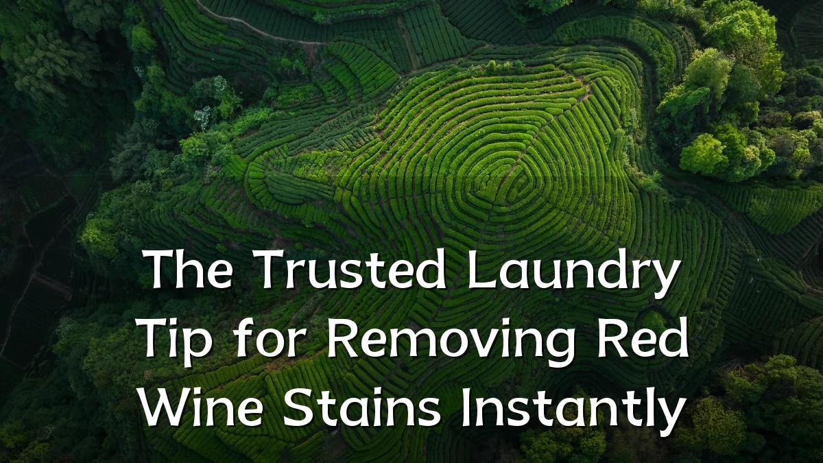 The Trusted Laundry Tip for Removing Red Wine Stains Instantly
