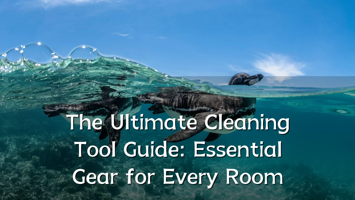 The Ultimate Cleaning Tool Guide: Essential Gear for Every Room