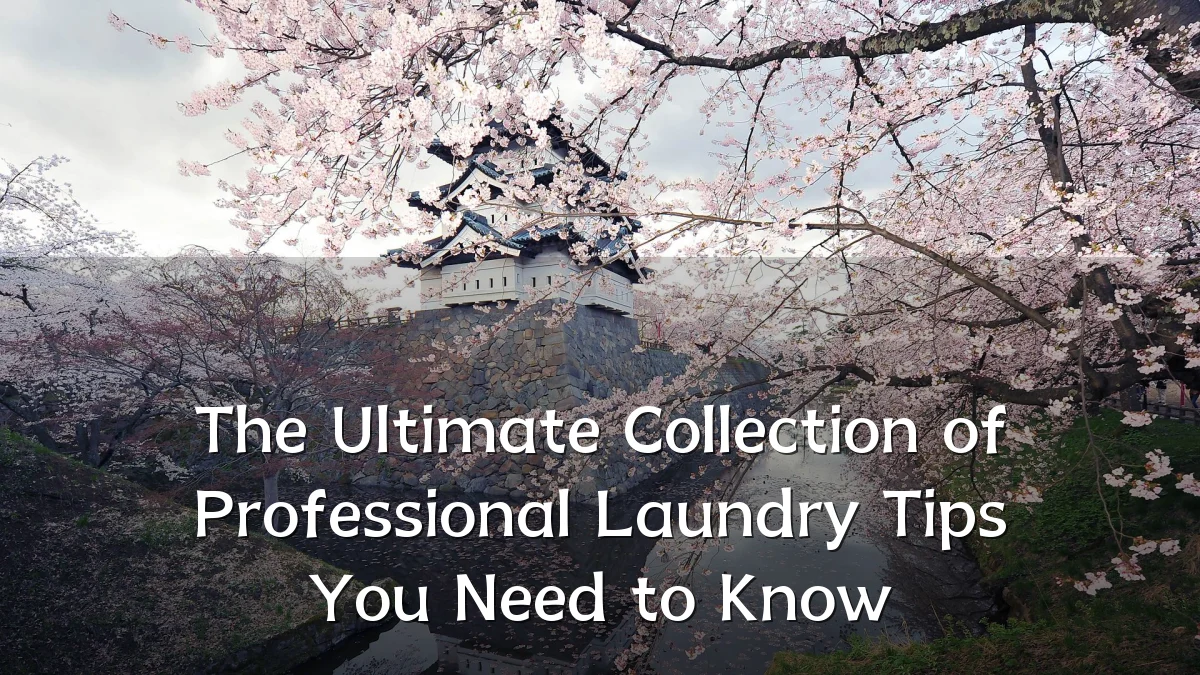 The Ultimate Collection of Professional Laundry Tips You Need to Know
